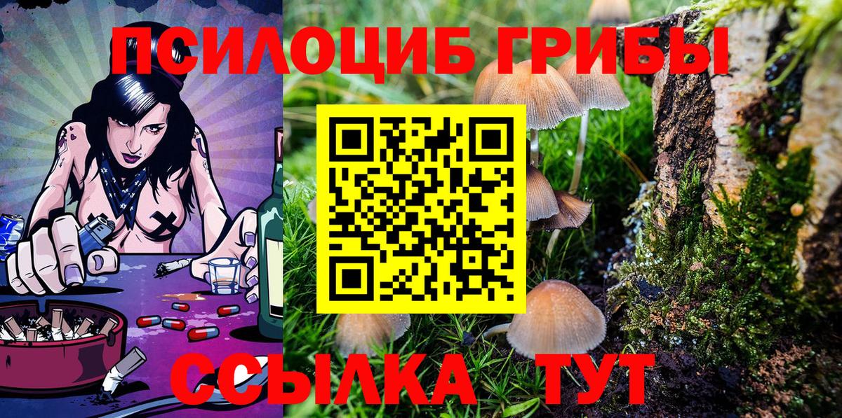 Галлюциногенные грибы GOLDEN TEACHER Будённовск