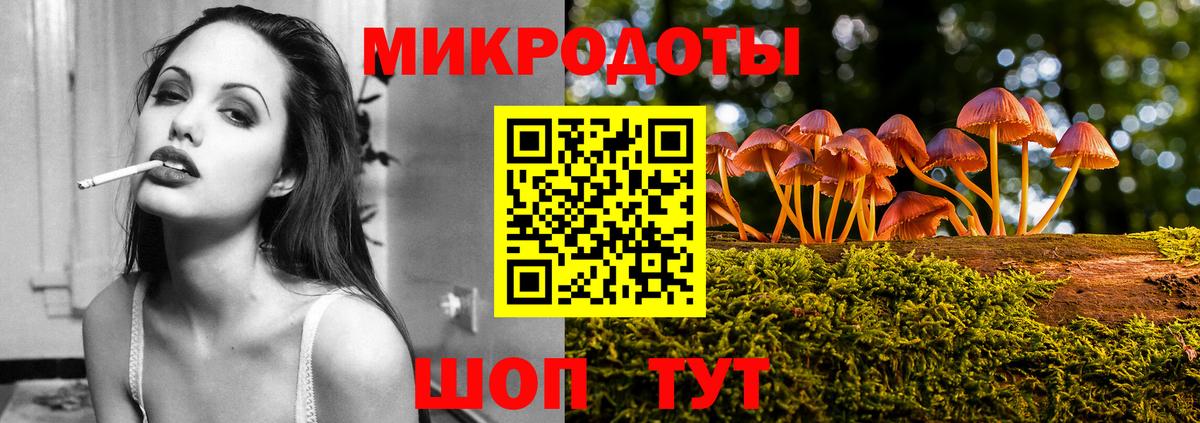 Будённовск  Галлюциногенные грибы Psilocybe  Вход с VPN 