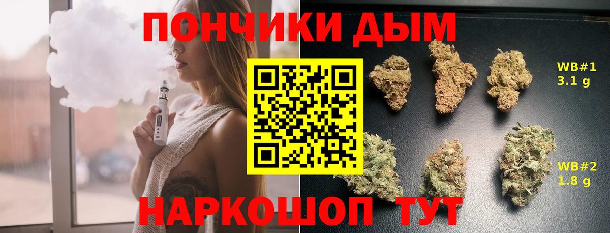 Шишки марихуана планчик  Шишки марихуана тримм  Вход с VPN  Бошки Шишки планчик  Будённовск  Каннабис индика 